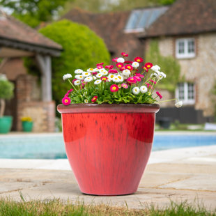 Red plant deals pot